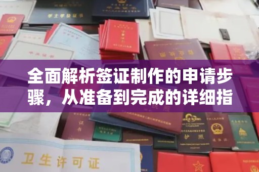 牡丹全面解析签证制作的申请步骤，从准备到完成的详细指南