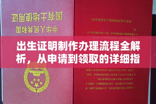 牡丹出生证明制作办理流程全解析，从申请到领取的详细指南